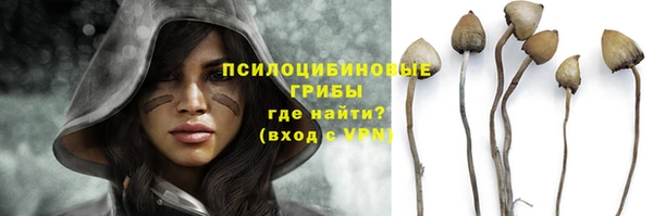 прущие крисы Абдулино