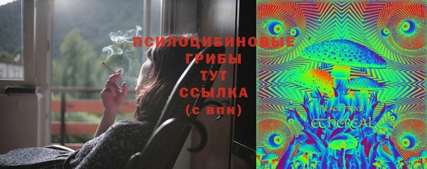 гидропоника Абаза