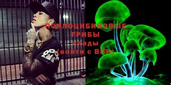 гидропоника Абаза