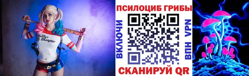 хочу   Ясный  Галлюциногенные грибы Psilocybe 